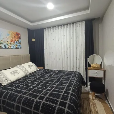 Nova Life 시데